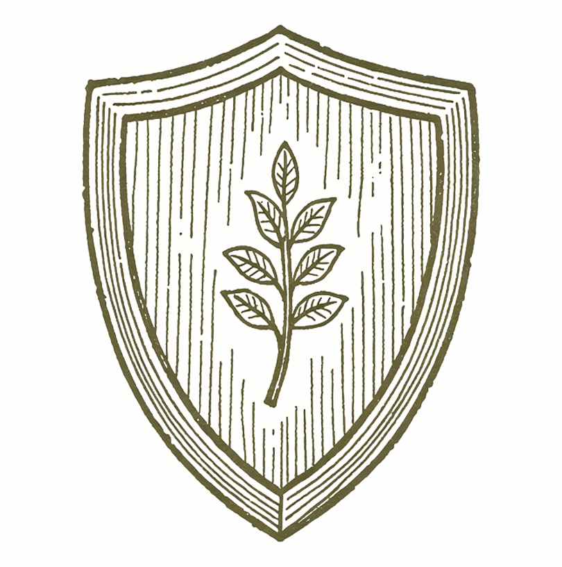 AUGSTA KVALITĀTE